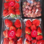 姫路ハートフル観光農園 - 