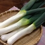 手打ちそばと鴨料理 一穂 - 冬の味覚「下仁田ねぎ」