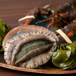 abalone