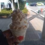 道の駅 千枚田ポケットパーク - 