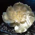 カンテサンス - 祝いにいただいた飴細工