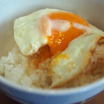 ガスト - てりたまハンバーグランチ