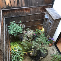 山玄茶 - 