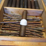 Ode - 紅茶シガー