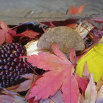 Ode - アミューズ2（キノコクッキー）