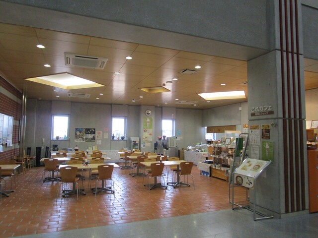 これカフェ - 本八戸（カフェ）の写真