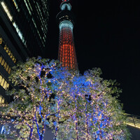 焼鳥 おみ乃 - ☆東京スカイツリーのライトアップ。真下から見ると高くて大きい。