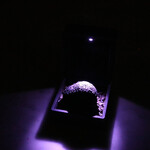 Yama  - トリュフ