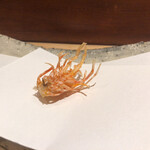 にい留 - 長崎 松浦 東興産業養殖 車海老 足×2
      →まずは車海老の足の素揚げから！