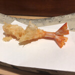 にい留 - その衣の効果から車海老の甘みが一層増している！勿論東興産業の車海老のクオリティもあるのだろうが、それだけではない甘みと旨味！うわぁ！更に天風良が進化している！