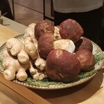 SUGALABO - セップ茸