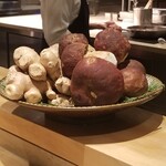 SUGALABO - セップ茸