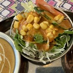 本格インド料理 ナマステ - サラダ【2020.12】