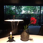 レフェルヴェソンス - 