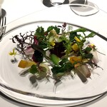 レフェルヴェソンス - 