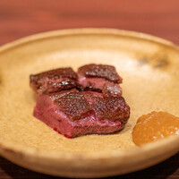 たでの葉 - 鹿児島県オナガガモ