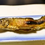 白船荘 新宅旅館 - 焼物　岩魚姿焼