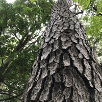 なだ万 高輪プライム - 