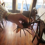 トラットリア・アルベロ - 