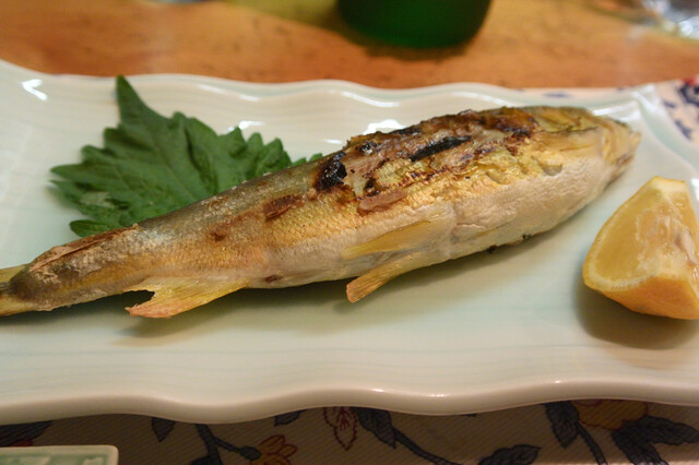 和乃家 西駅店 豊橋 居酒屋 食べログ 和乃家 西駅店 豊橋 居酒屋 食べログ