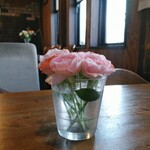 アルバトロス - 