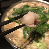 博多もつ鍋 やま中 赤坂店 - 