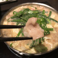 博多もつ鍋 やま中 赤坂店 - 