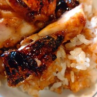 炭焼きうなぎ・かしわ 登河 - 