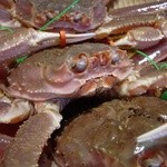 うまし宿 とト屋 - 運が良く頂けた間人蟹