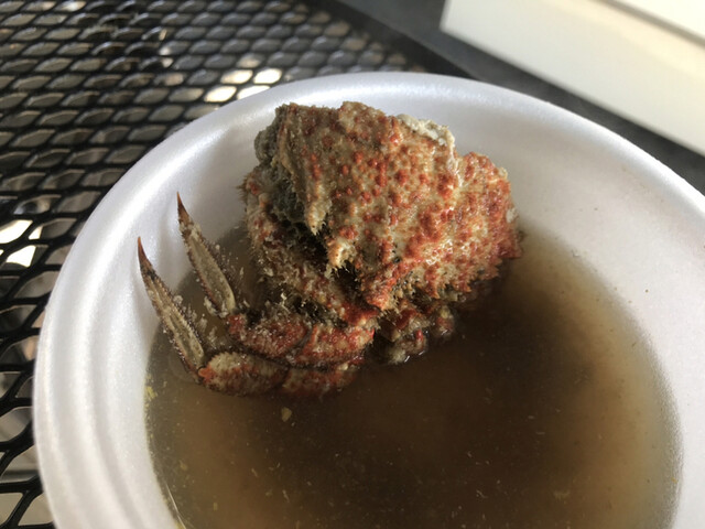 漁師直送 ウロコ水産 かわまちてらす閖上店 - 美田園（その他）の写真