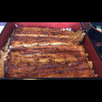 鰻割烹 伊豆栄 本店 - 