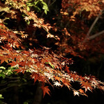 Koudaiji Ungoan - 