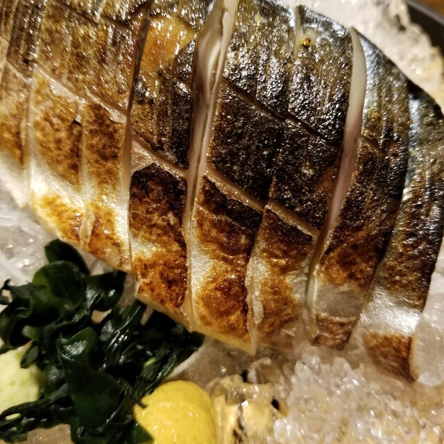 さかなや道場 清水駅前店 清水 居酒屋 食べログ さかなや道場 清水駅前店 清水 居酒屋 食べログ