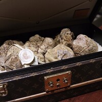 スガラボヴィー - 