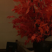 天空の月 渋谷 - 