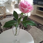 あざみ野うかい亭 - 頂いたバラの花を飾りましたo(^o^)o