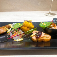 ダルマット 六本木ヒルズ店 - 