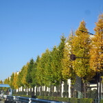 ラーメン二郎 - 今日も二郎日和♪