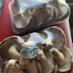 道の駅 びわ湖大橋米プラザ - 特大椎茸(1パック)   500円