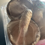 道の駅 びわ湖大橋米プラザ - 直径8cm以上あります♪