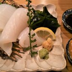 ごはんとおさけ、と本 松林堂 - スルメイカのお刺身　肝付