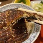 炭焼うな富士 - 鰻のサイズは普通です
