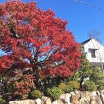 染地台 藪蕎麦 - 店舗を外から。