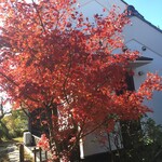 染地台 藪蕎麦 - 店舗裏側。