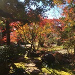 染地台 藪蕎麦 - 店舗に行く通路。