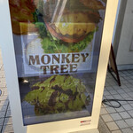 MONKEY TREE - 