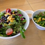 ワンルームカフェ - ベジタブルランチのサラダと通常のサラダ比べ