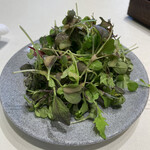 ナベノ-イズム - 