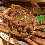 富小路 やま岸 - 