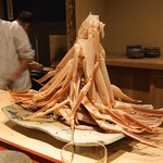 富小路 やま岸 - 